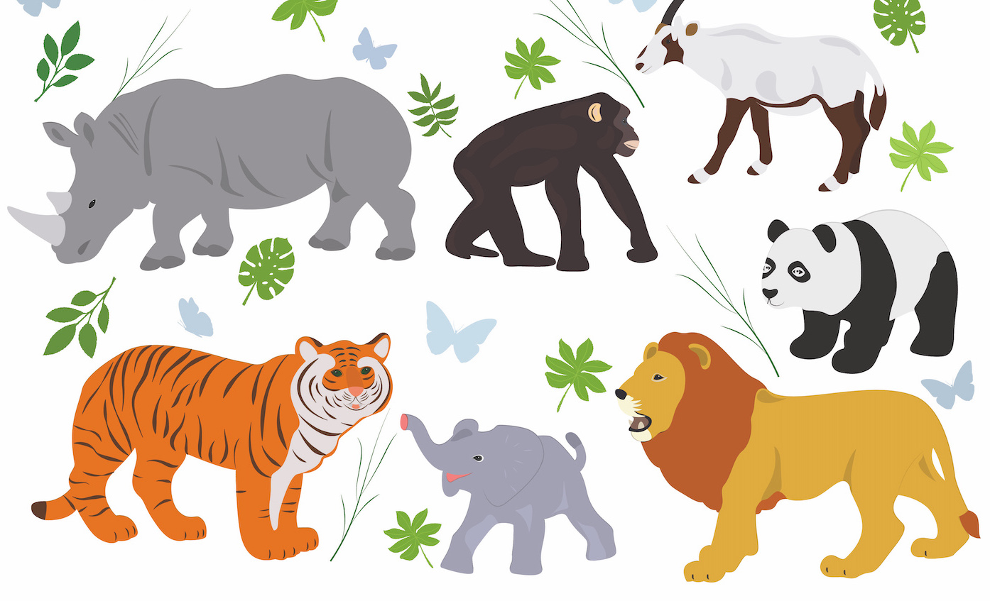 illustration of various animals