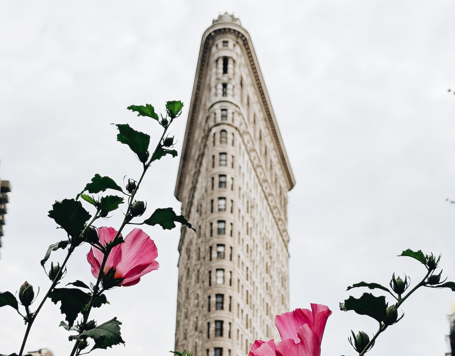 Flowers outside in NYC
